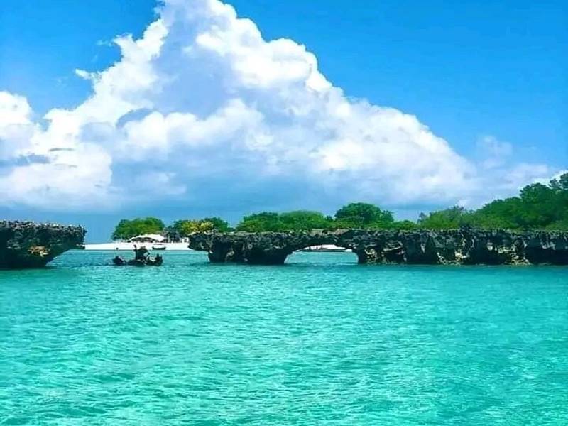 Zanzibar avec Kingo
